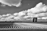 167 - GRAPHISME RURAL - PARIGOT GILLES - france <div